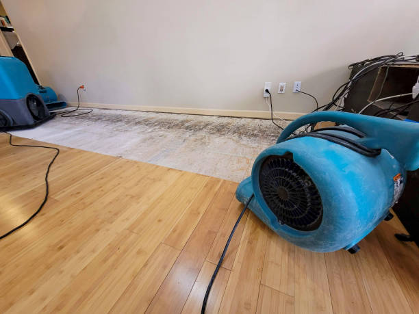 Professional Flood Damage Cleanup technician working in Islip, NY